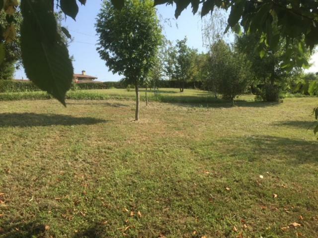 Casa In Campagna _Lori Volta Mantovana Exteriör bild